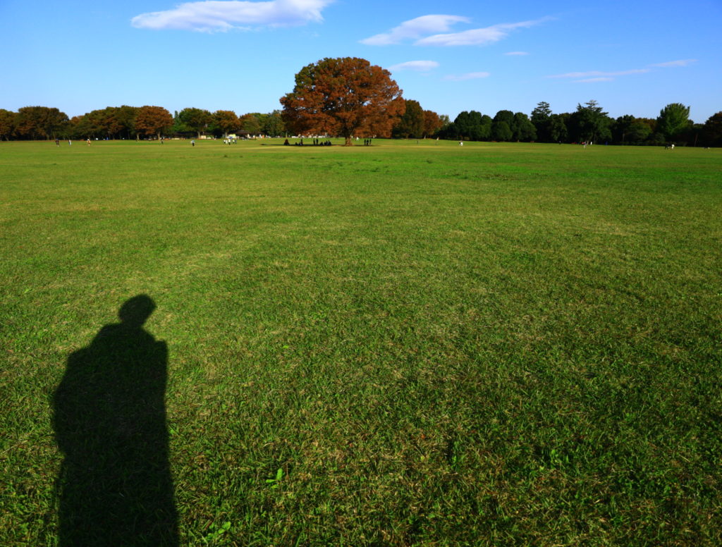 キヤノンEOSM100純正広角レンズEF-M11-22mm F4-5.6 IS STM