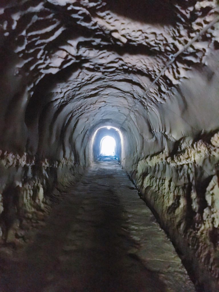 鵜原理想郷ハイキングコースのトンネル