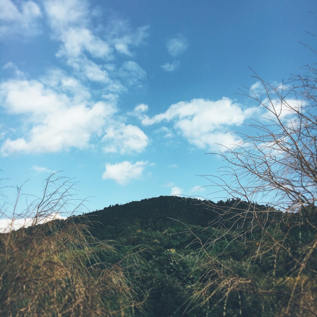 奈良 大神神社の三輪山登山