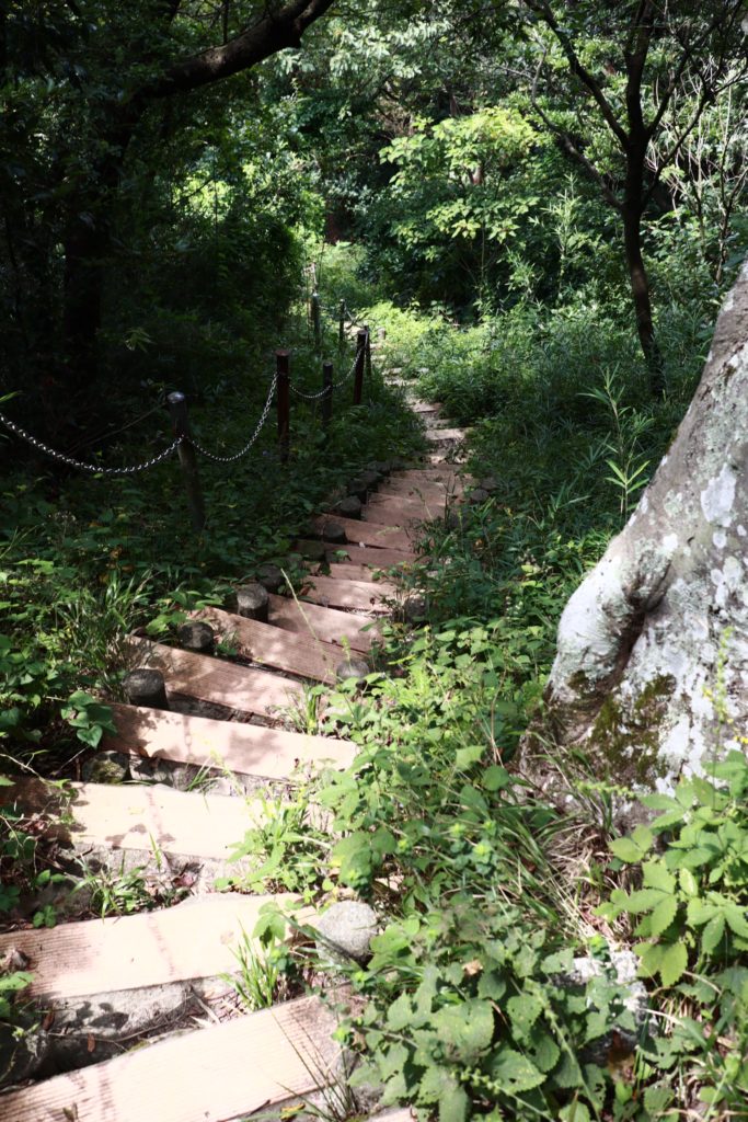 葉山の仙元山ハイキングコース