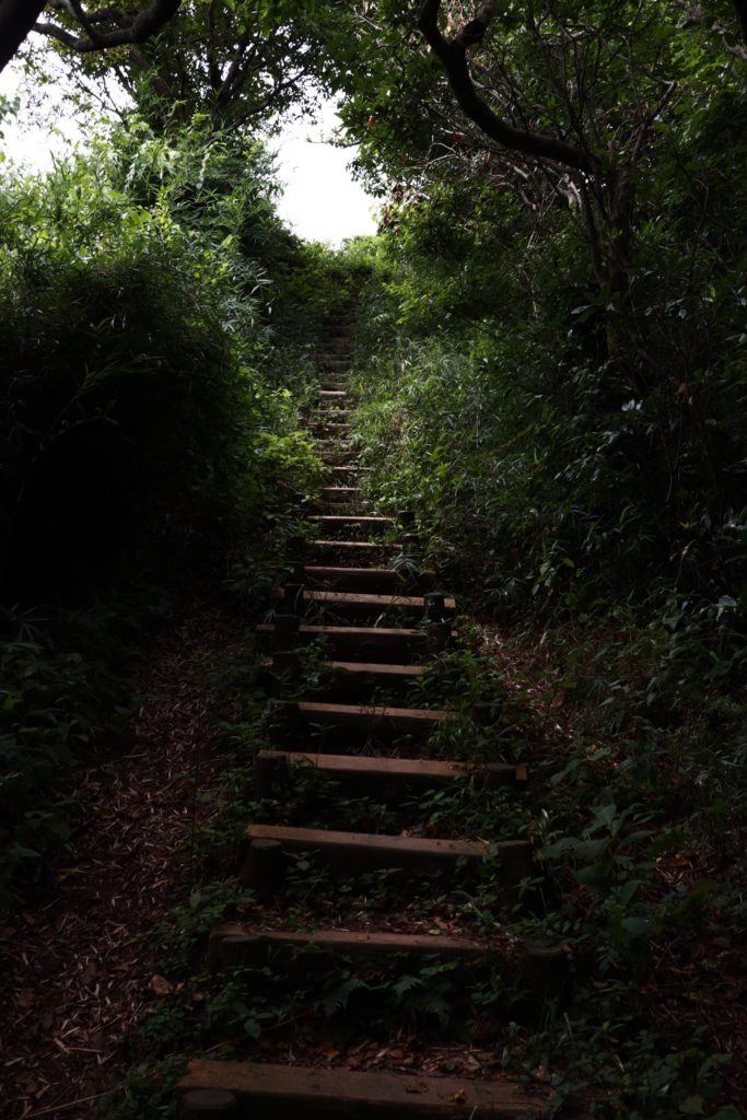 葉山の仙元山ハイキングコース