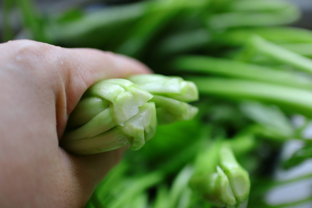 あると便利な常備食材、茹で小松菜レシピとおいしい茹で方