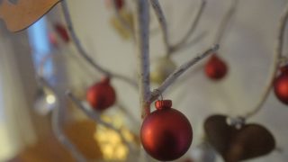 ライカQで撮るシンプルクリスマスツリー