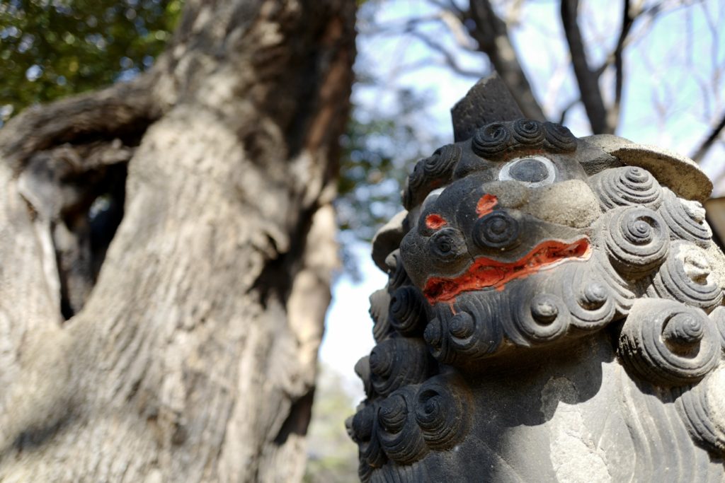 LeicaQ作例：西日暮里諏訪神社