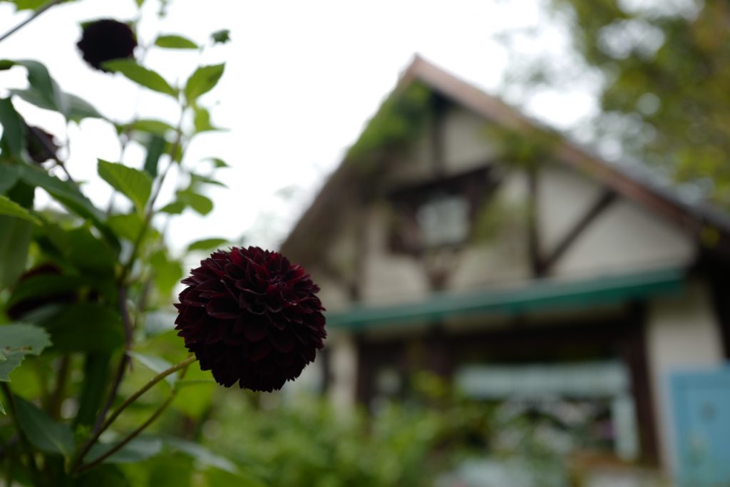 ざつ旅 in 清里「萌葱の村」散策