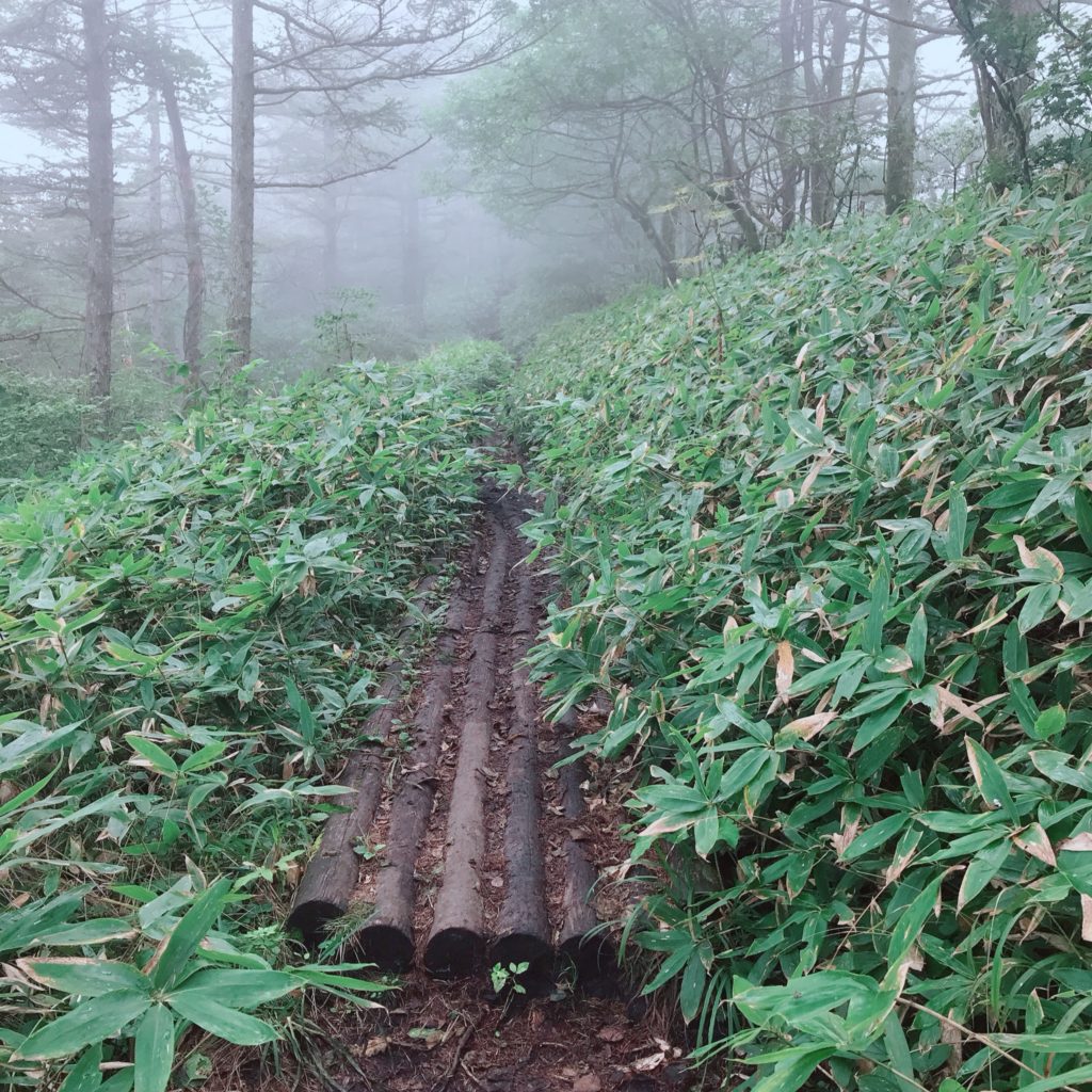 ざつ旅 in 清里　獅子岩駐車場・平沢峠登山口から飯盛山ハイキング