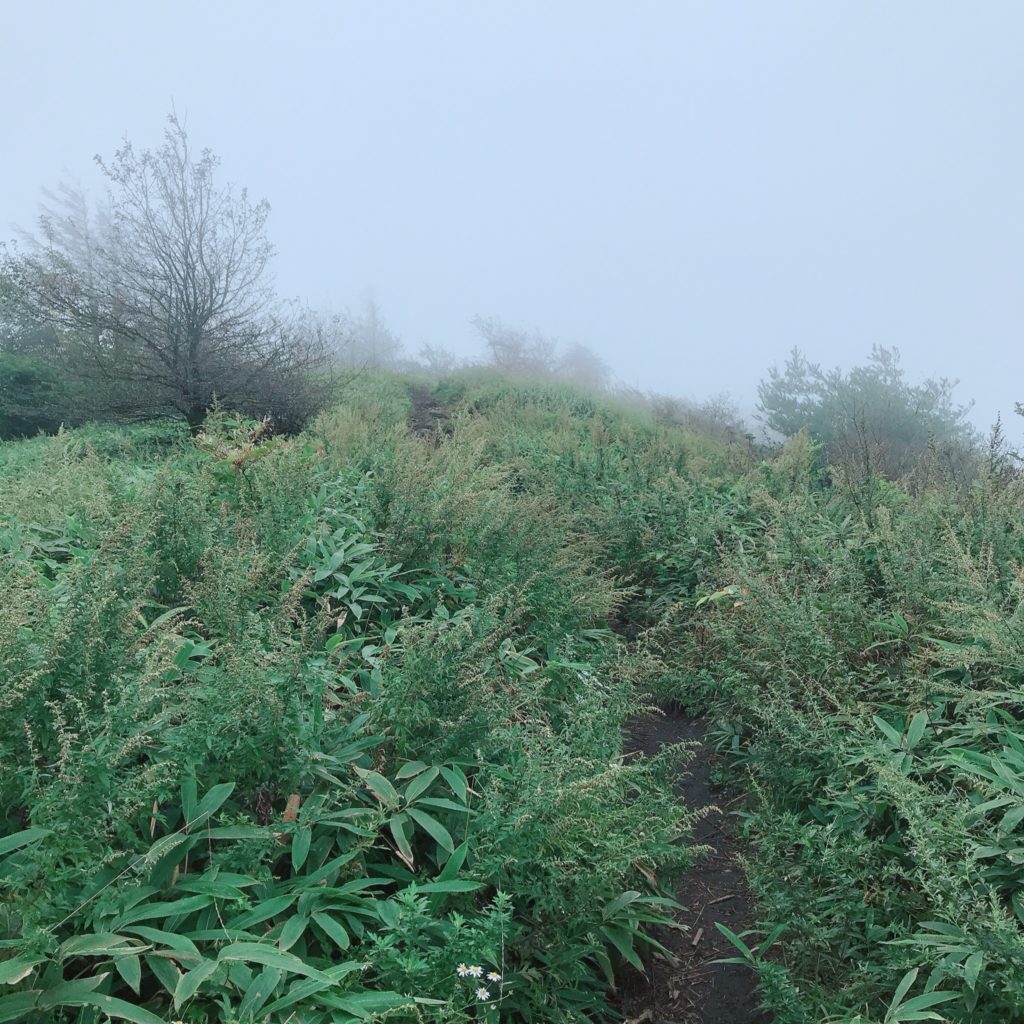 ざつ旅 in 清里　獅子岩駐車場・平沢峠登山口から飯盛山ハイキング。