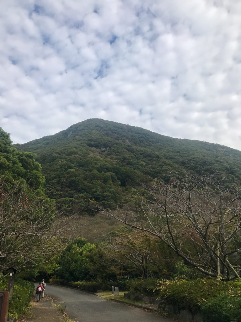 湯河原いちにち満喫コース：幕山・南郷山の低山ハイキング