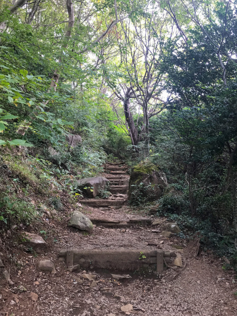 湯河原いちにち満喫コース：幕山・南郷山の低山ハイキング