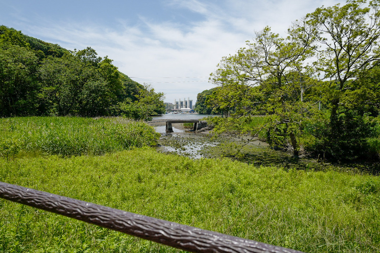 関東日帰り旅 三浦半島三崎口 小網代の森 は 貴重な自然と気軽なハイキングを楽しめるおでかけスポットです すっきり さっぱり