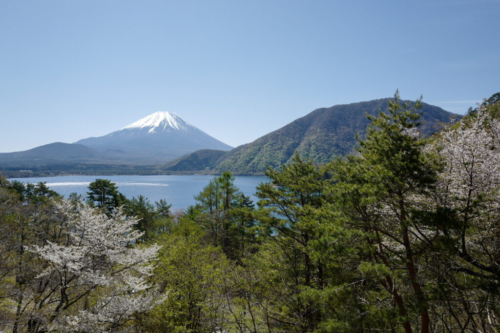 本栖湖浩庵 夫婦ふたりキャンプレポート