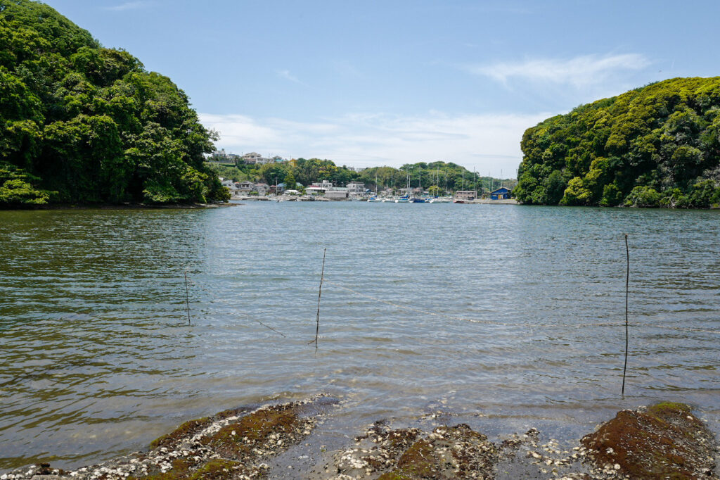 三浦半島三崎口「小網代の森」日帰り旅レポート