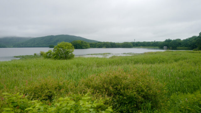 函館4泊5日ひとり旅2日目：「大沼国定公園でサイクリングしてみた」の