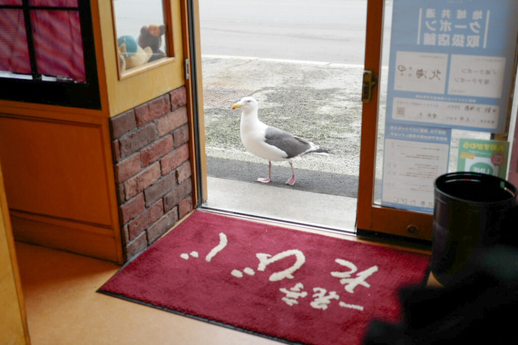 函館4泊5日ひとり旅で食べたおいしいもの＆おいしいお店12：函館朝市「たびじ」