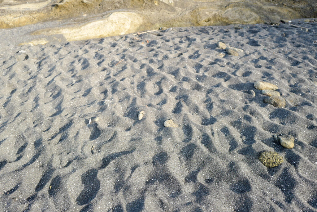 三浦半島1泊2日！お手軽旅 2日目　城ヶ島早朝散歩