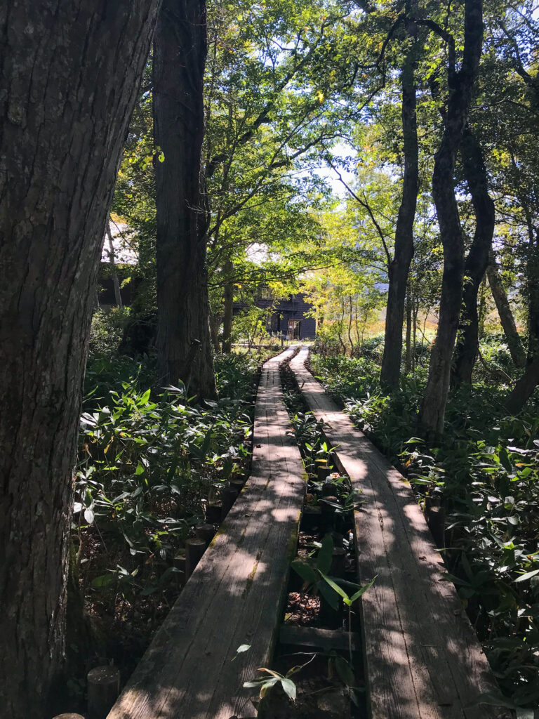 尾瀬ヶ原3泊4日ソロハイク旅の記録　3日目：見晴～段吉新道～東電小屋～竜宮～山ノ鼻