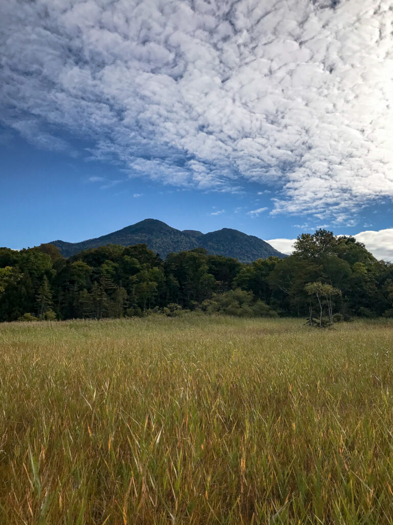 尾瀬ヶ原3泊4日ソロハイク旅の記録　3日目：見晴～段吉新道～東電小屋～竜宮～山ノ鼻