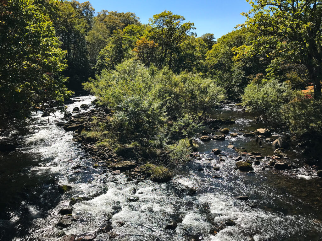 尾瀬ヶ原3泊4日ソロハイク旅の記録　3日目：見晴～段吉新道～東電小屋～竜宮～山ノ鼻