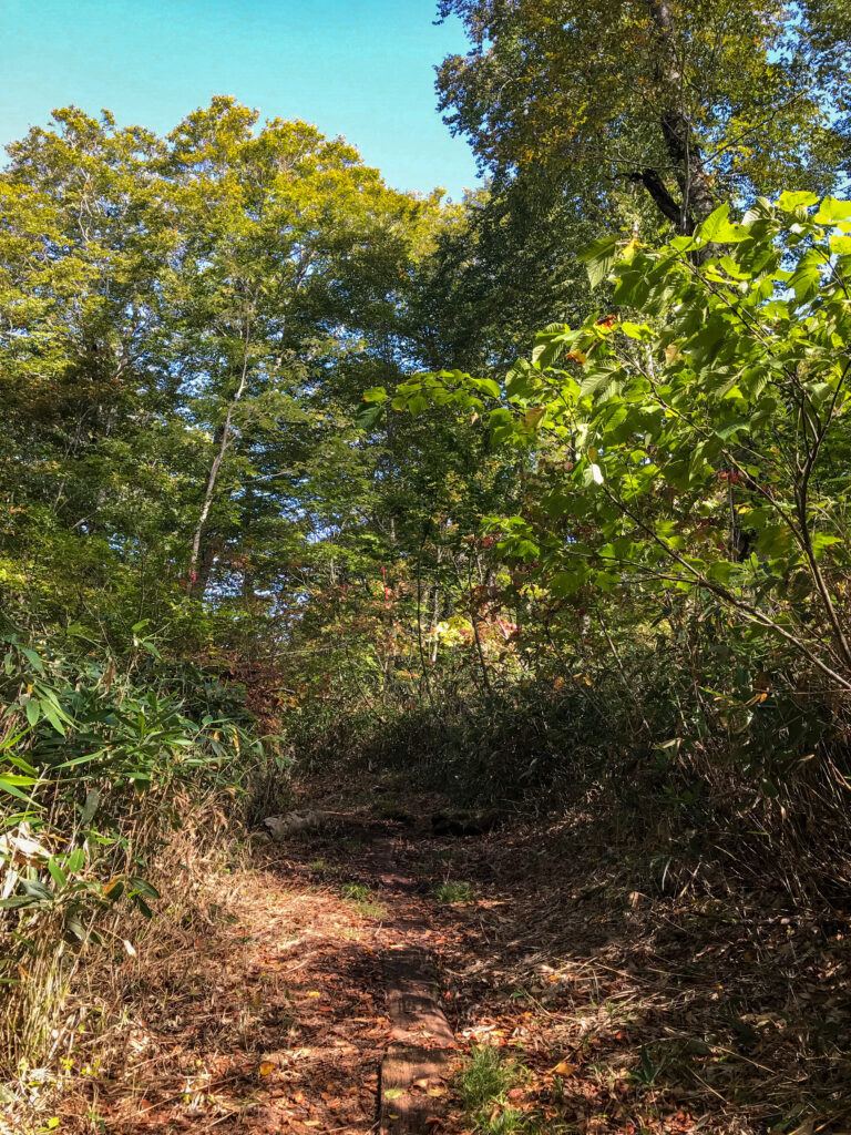 尾瀬ヶ原3泊4日ソロハイク旅の記録　3日目：見晴～段吉新道～東電小屋～竜宮～山ノ鼻