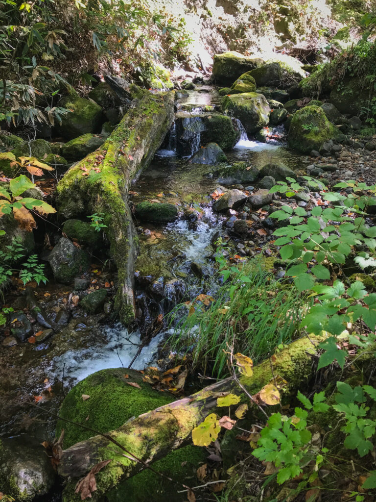 尾瀬ヶ原3泊4日ソロハイク旅の記録　3日目：見晴～段吉新道～東電小屋～竜宮～山ノ鼻