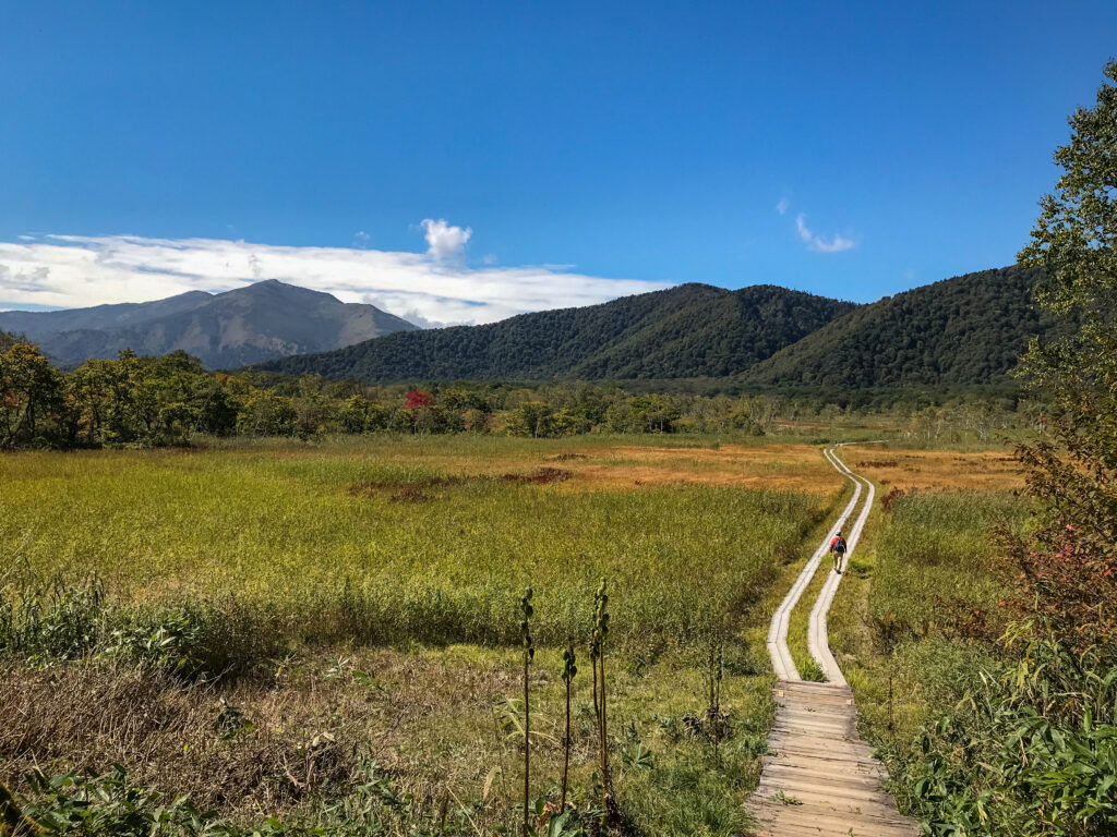 尾瀬ヶ原3泊4日ソロハイク旅の記録　3日目：見晴～段吉新道～東電小屋～竜宮～山ノ鼻