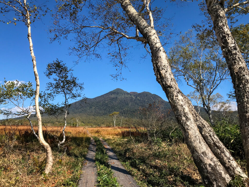 尾瀬ヶ原3泊4日ソロハイク旅の記録　3日目：見晴～段吉新道～東電小屋～竜宮～山ノ鼻