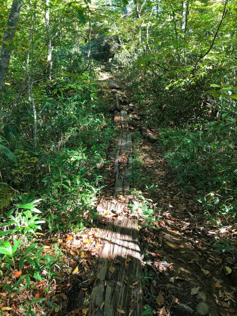 尾瀬ヶ原3泊4日ソロハイク旅の記録　3日目：見晴～段吉新道～東電小屋～竜宮～山ノ鼻