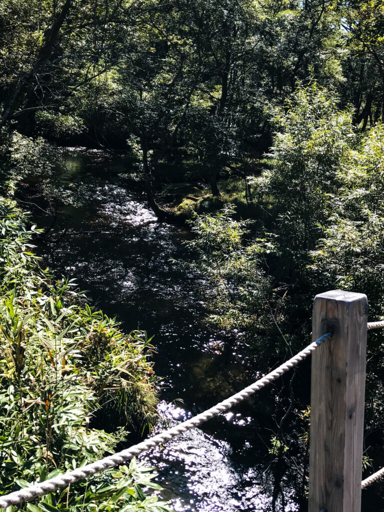 尾瀬ヶ原3泊4日ソロハイク旅の記録　3日目：見晴～段吉新道～東電小屋～竜宮～山ノ鼻