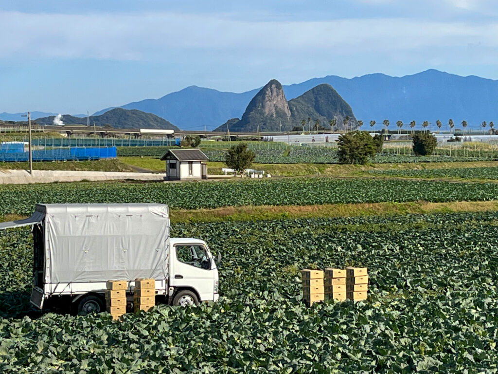 駅へ戻る途中の景色も素晴らしく、