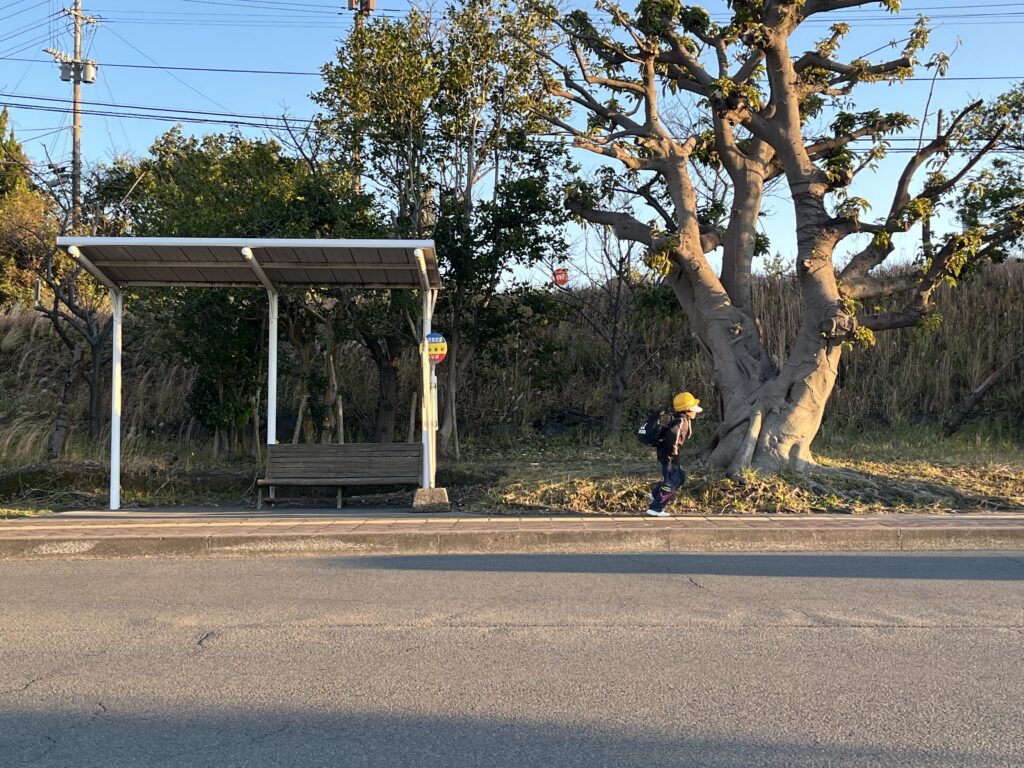 鹿児島3泊4日一人旅モデルコース