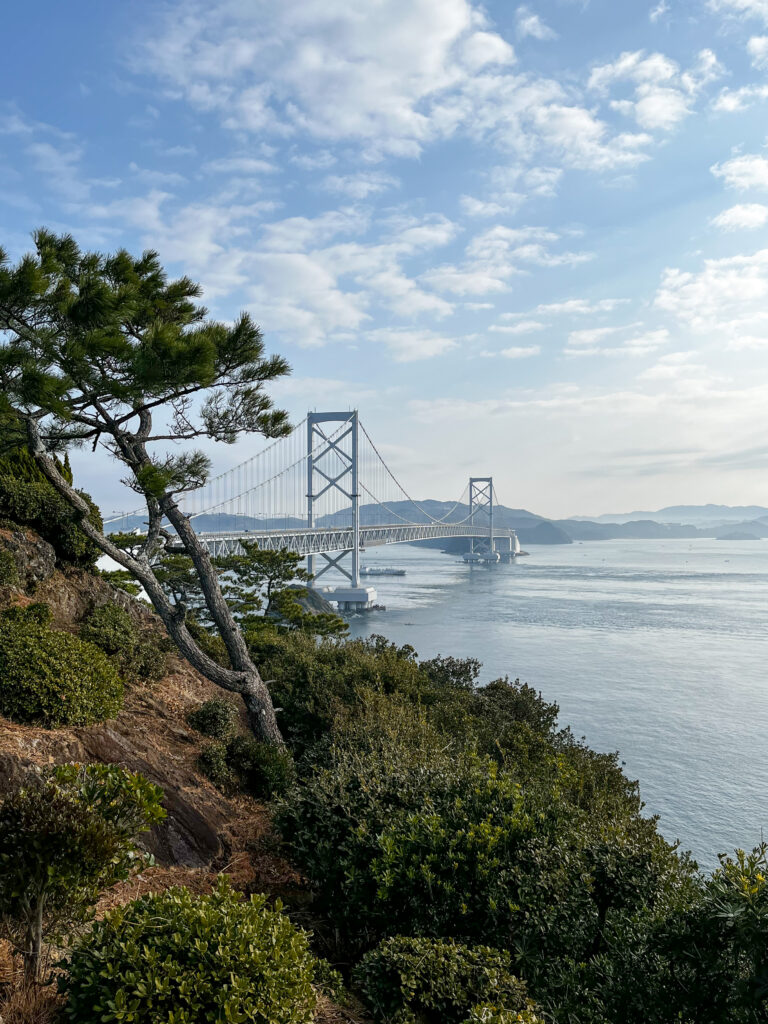 徳島ひとり旅3泊4日で行ってよかったスポット10か所のまとめ：お茶園遊歩道