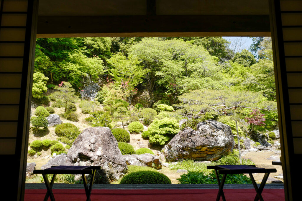 高知ひとり旅3泊4日：2日目：My遊バスで五台山展望台、竹林寺、牧野植物園へ