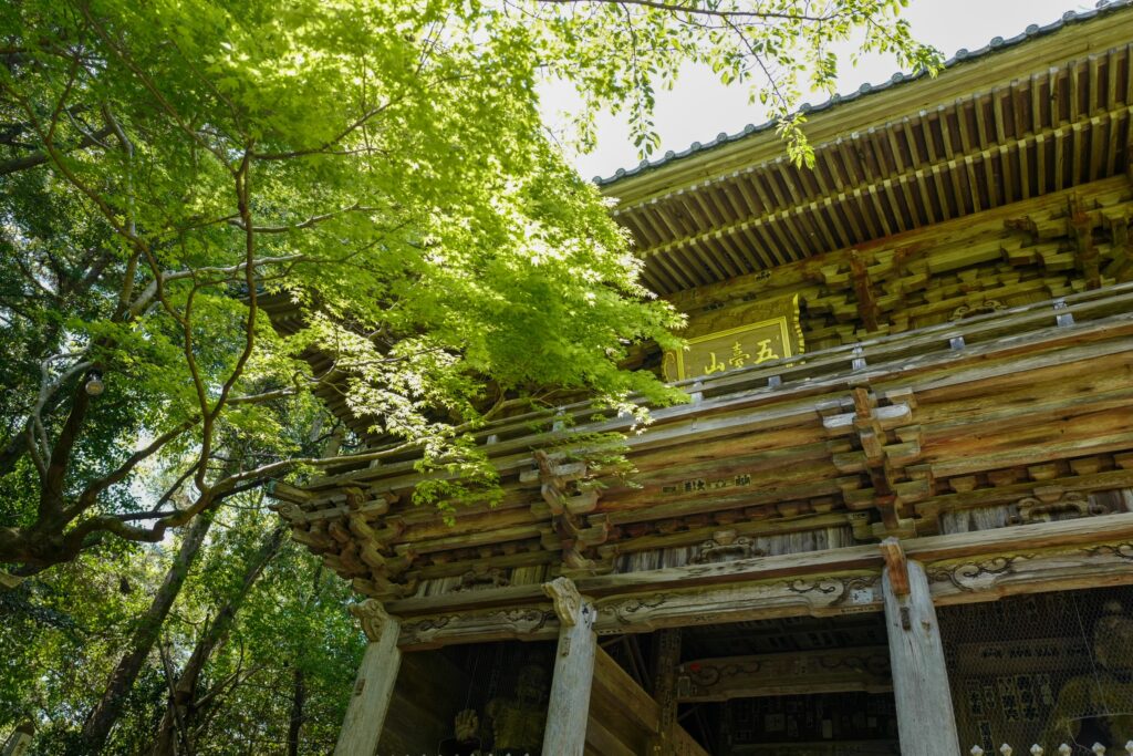 高知ひとり旅3泊4日：2日目：My遊バスで五台山展望台、竹林寺、牧野植物園へ