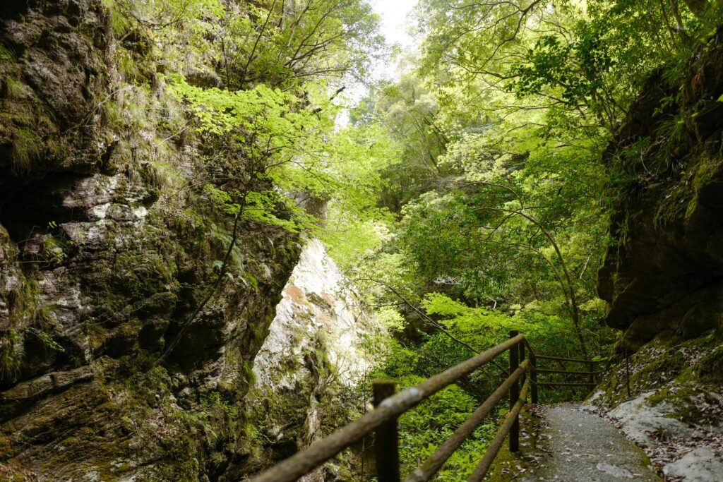 高知ひとり旅3泊4日：3日目：レンタカーで仁淀川ブルーを見に行く：中津渓谷・雨竜の滝