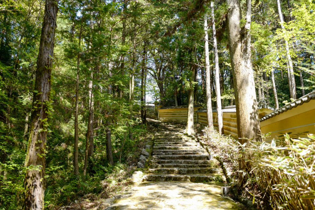 高知ひとり旅3泊4日：2日目：My遊バスで五台山展望台、竹林寺、牧野植物園へ