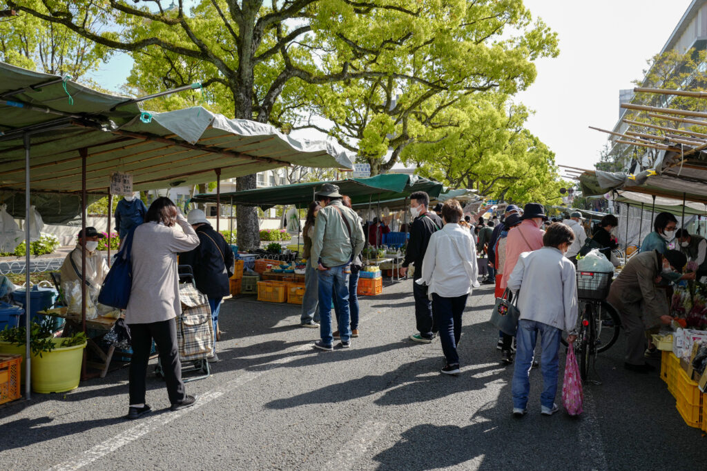 高知ひとり旅3泊4日：2日目：日曜市