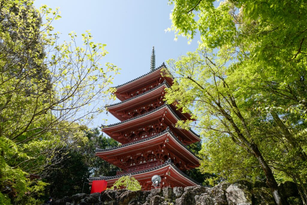 高知ひとり旅3泊4日：2日目：My遊バスで五台山展望台、竹林寺、牧野植物園へ