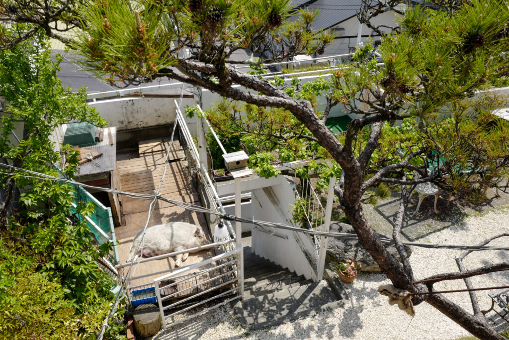 高知ひとり旅3泊4日：4日目：沢田マンション