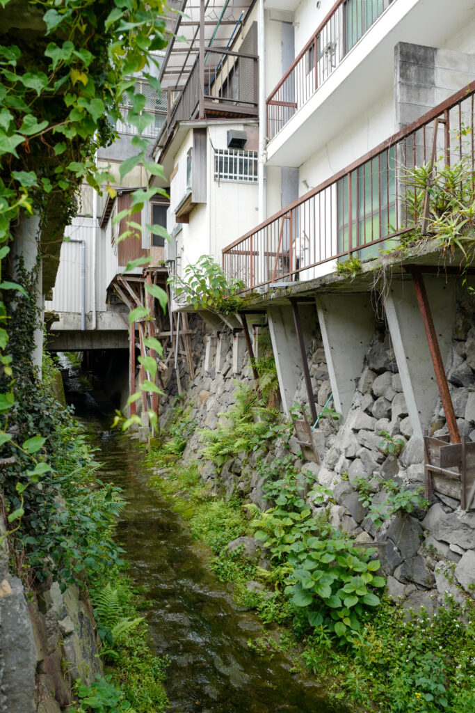 長崎ひとり旅3泊4日：1日目：唐人屋敷エリア散策