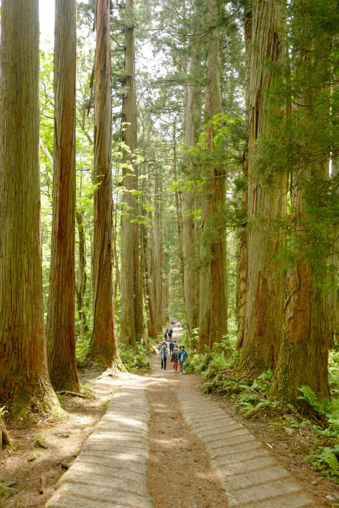 戸隠神社5社をレンタカーで巡る