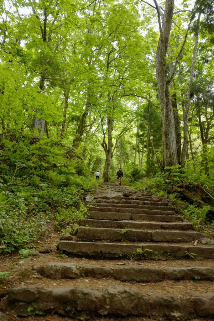 戸隠神社5社をレンタカーで巡る