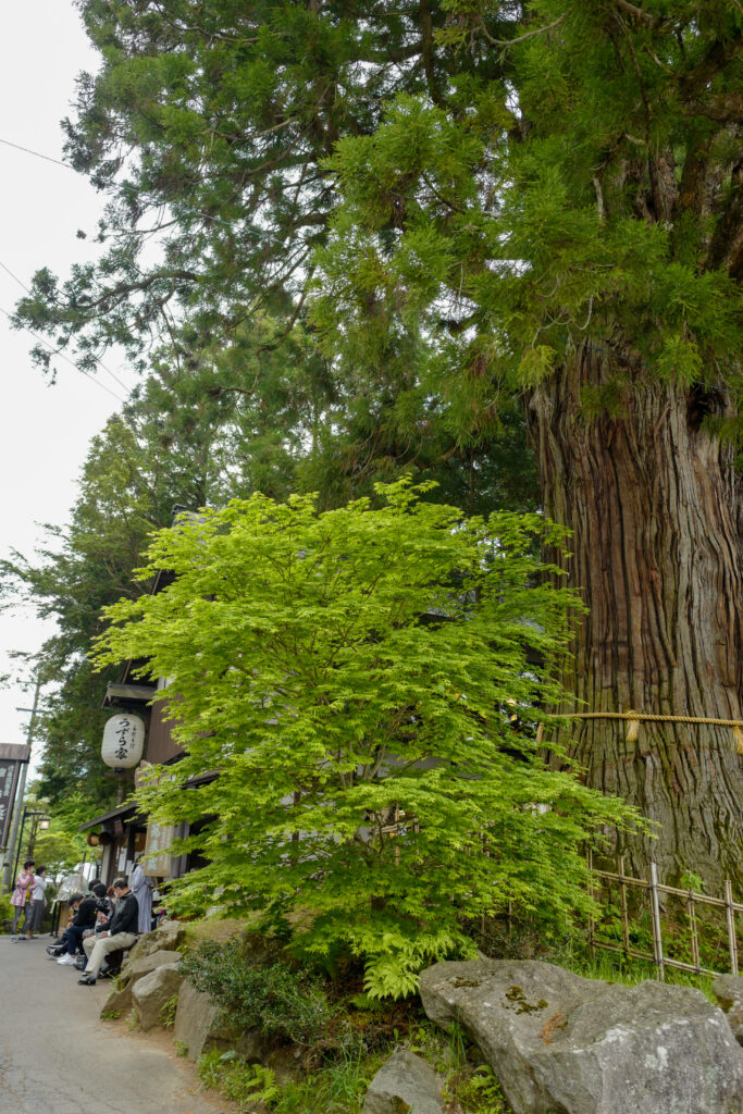 善光寺・戸隠で行って良かったお店　戸隠蕎麦処うずら家