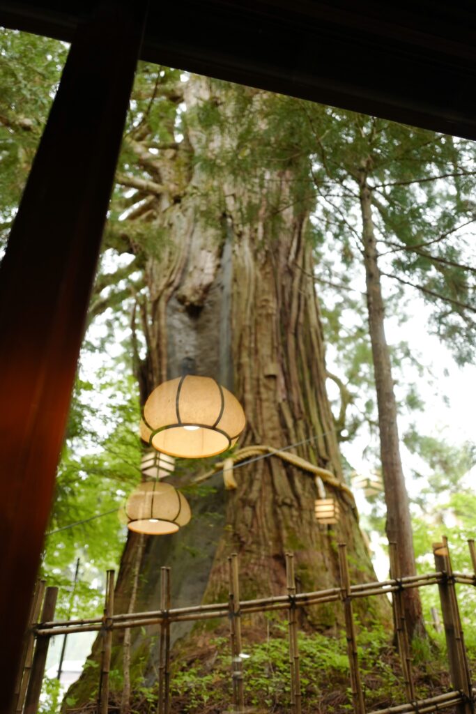 善光寺・戸隠で行って良かったお店　戸隠蕎麦処うずら家