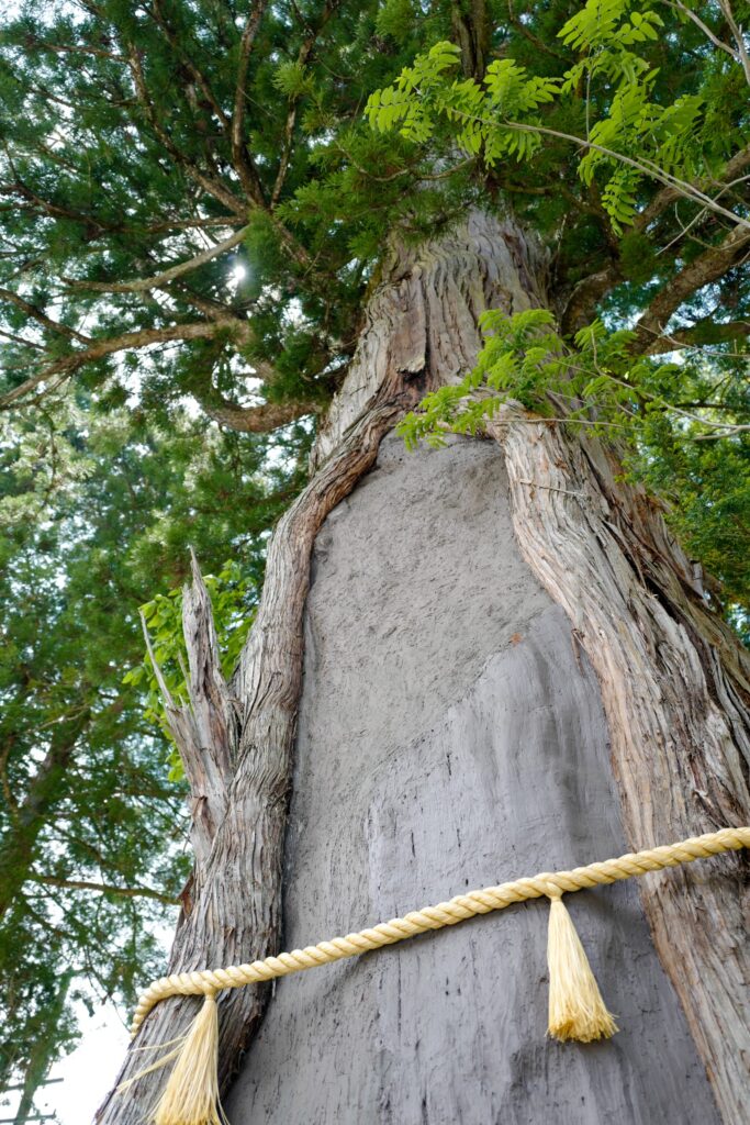 戸隠神社5社をレンタカーで巡る