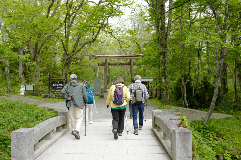 戸隠神社5社をレンタカーで巡る