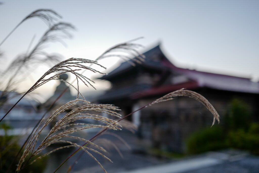 恐山・大間・函館4泊5日旅：2日目：恐山 早朝散策＆古滝の湯入浴