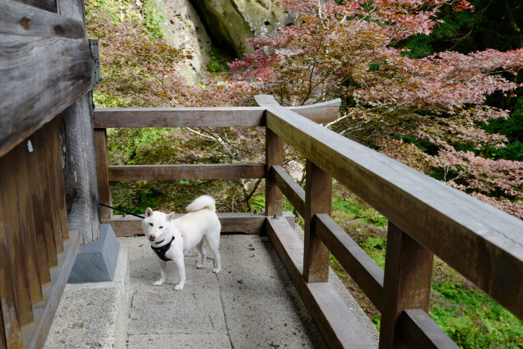 宮城3泊5日ひとり旅：2日目：立石寺登山