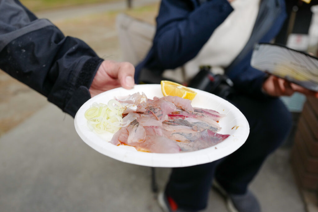 横浜でお手軽デイキャン！野島公園キャンプ場でアジのお刺身