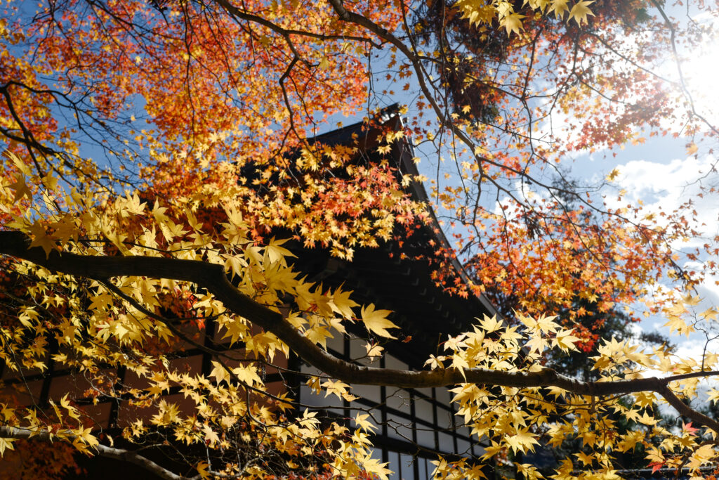 長野2泊3日夫婦ふたり旅：2日目：下諏訪ぶらぶらソロ散歩　慈雲寺