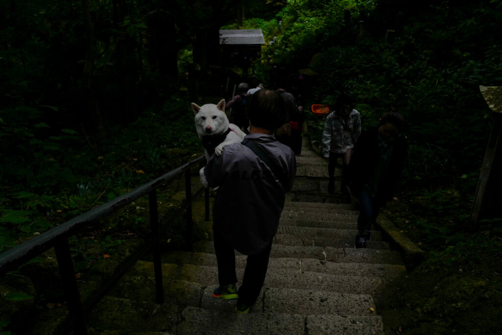 宮城3泊5日ひとり旅：2日目：立石寺登山